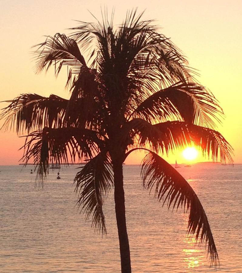 Family, Couples Retreat Near Airport, Cruise Port & Beaches Fort Lauderdale Bagian luar foto
